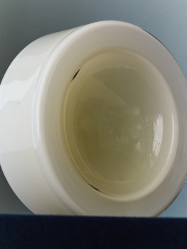 White glass bowl staning on its side. Logo Progressive Present