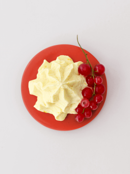 Logo Progressive Present